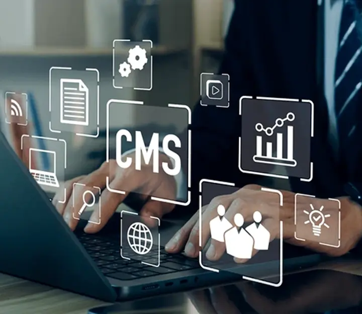 CMS Development