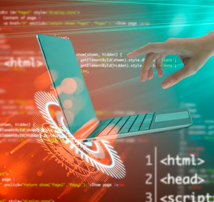 Website Design & Development